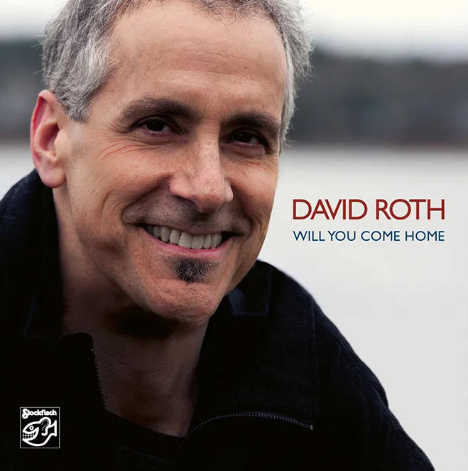 Пластинка Stockfisch Records David Roth - Will You Come Home 2LP - фото 1