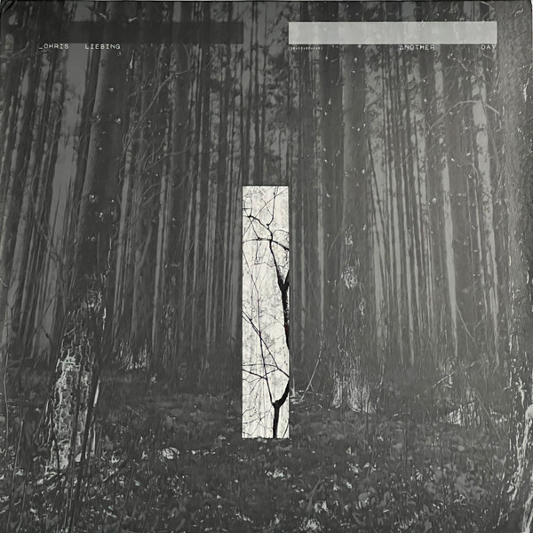 Виниловая пластинка Chris Liebing – Another Day 2LP - рис.0