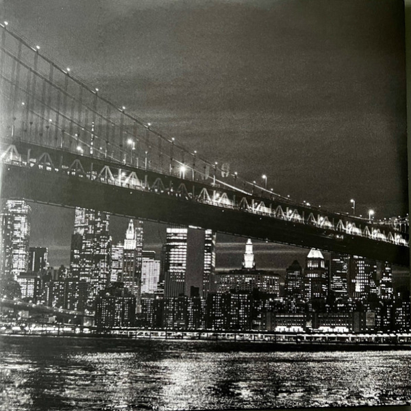 Виниловая пластинка Moby - Resound NYC (coloured) - 2LP - рис.5