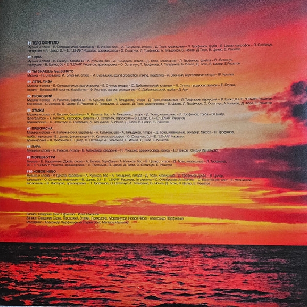 Виниловая пластинка Ёлка – #Небы LP - рис.3