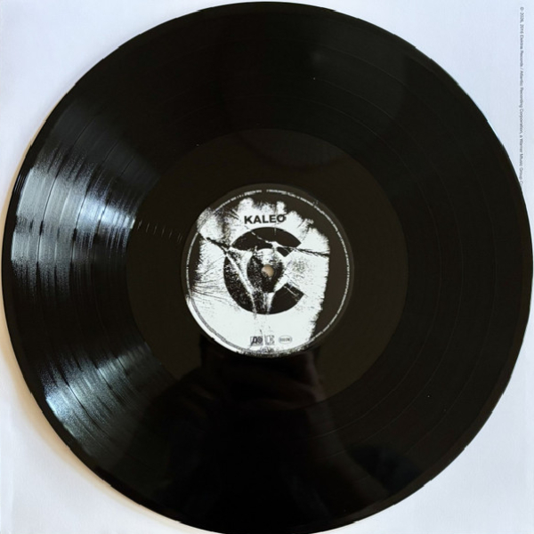 Виниловая пластинка Kaleo - A/B 10th Anniversary (Deluxe Edition) (coloured) - 2LP - рис.9