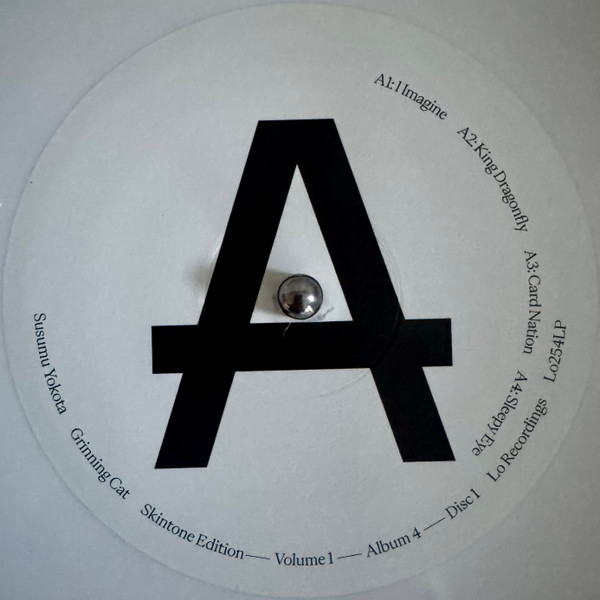 Бокс-сет Susumu Yokota – Volume 1 - Albums 1-7 (Skintone Edition, Box-set) LP - рис.26