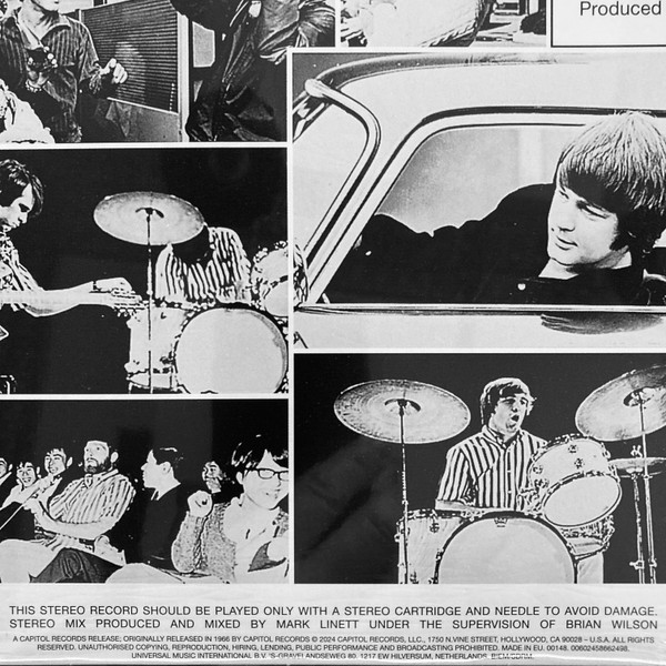 Виниловая пластинка Beach Boys - The Pet Sounds (coloured) LP - рис.6