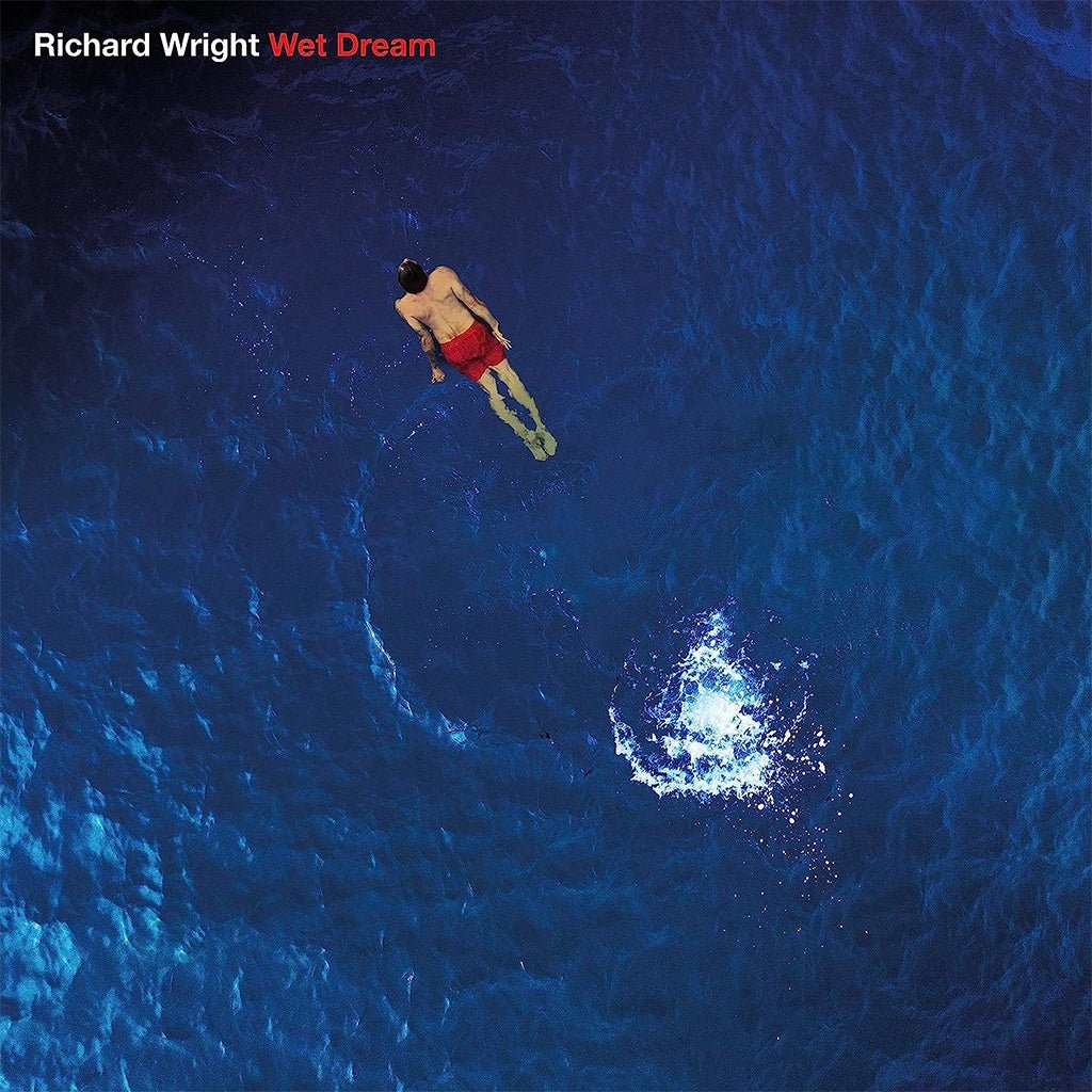 

Пластинка Richard Wright, – Wet Dream (Blue Marbled) LP