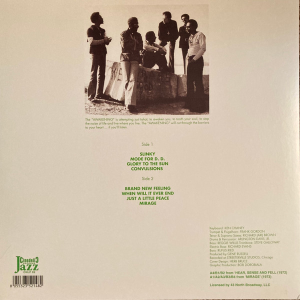 Виниловая пластинка The Awakening – Brand New Feeling LP - рис.1