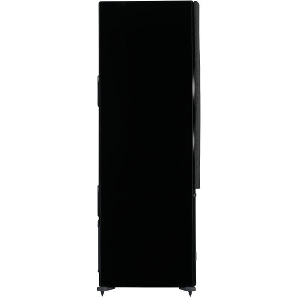 Напольная акустика Dali Rubicon 6 C Black High Gloss - рис.5