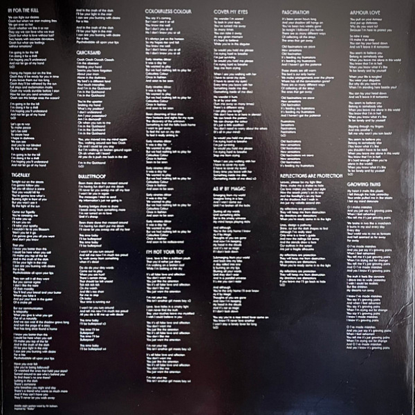 Виниловая пластинка La Roux - La Roux LP - рис.4