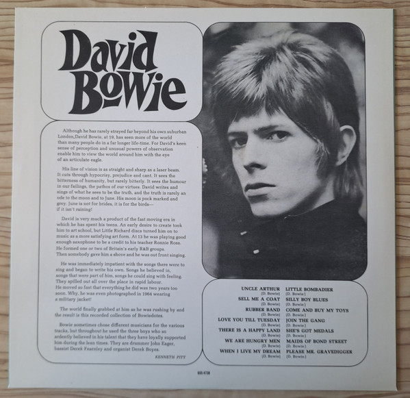 Виниловая пластинка David Bowie – David Bowie - Green - LP - рис.1
