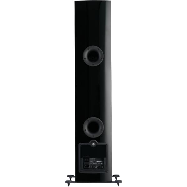 Напольная акустика Dali Rubicon 6 C Black High Gloss - рис.4