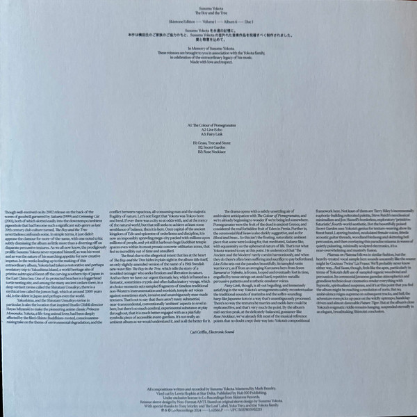 Бокс-сет Susumu Yokota – Volume 1 - Albums 1-7 (Skintone Edition, Box-set) LP - рис.43