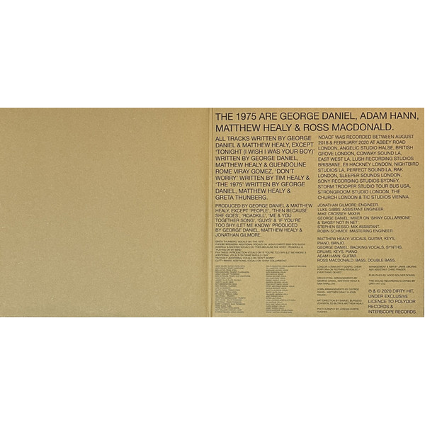 Виниловая пластинка The 1975 – Notes On A Conditional Form LP - рис.2