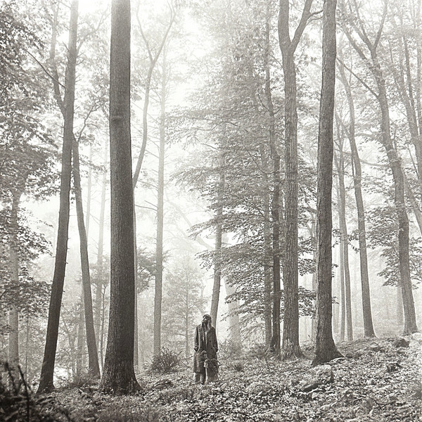 Виниловая пластинка Taylor Swift – Folklore - 2LP - рис.0