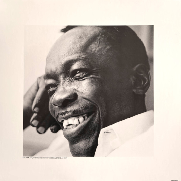 Виниловая пластинка John Lee Hooker - The Real Folk Blues (Analogue) LP - рис.3