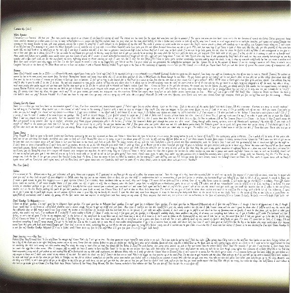 Виниловая пластинка Eminem - The Eminem Show - 2LP - рис.6