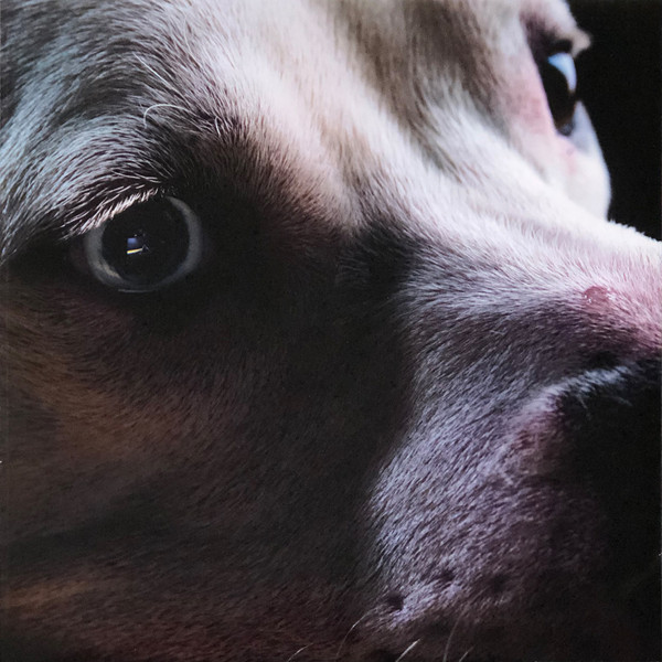 Пластинка Roger Waters – The Dark Side Of The Moon Redux 2LP - рис.6