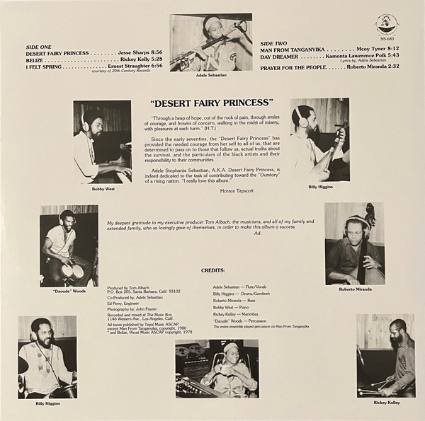 Виниловая пластинка Adele Sebastian – Desert Fairy Princess - Pure Pleasure LP - рис.1