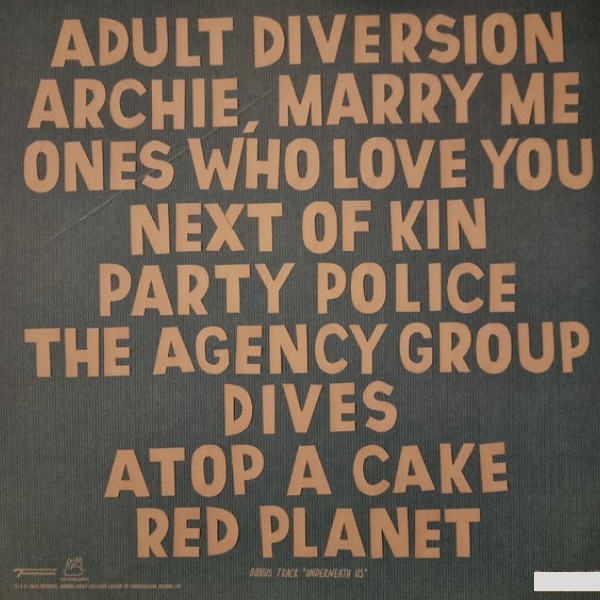 Виниловая пластинка Alvvays - Alvvays 10th Anniversary (Cloudy Clear) LP - рис.2