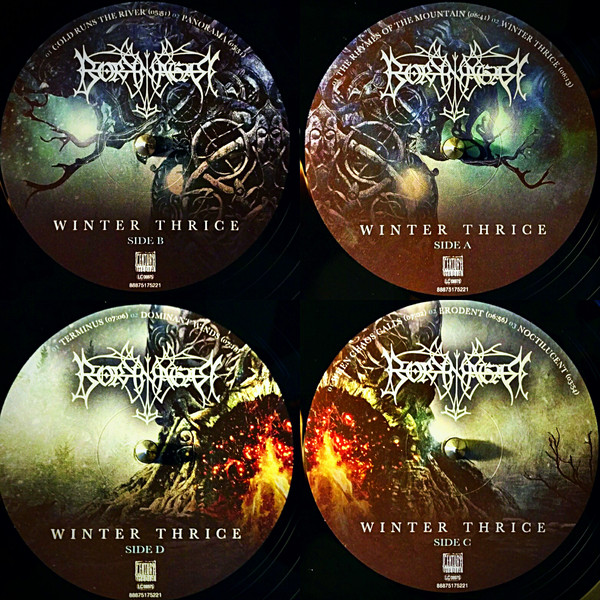 Виниловая пластинка Borknagar - Winter Thrice - рис.2