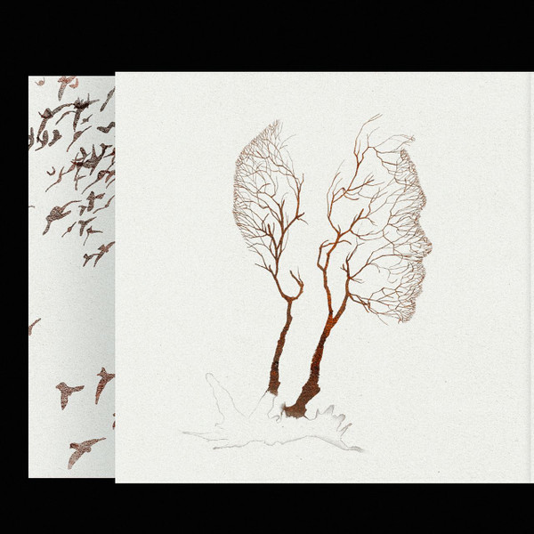 Виниловая пластинка Дельфин – Андрей 2LP - рис.1