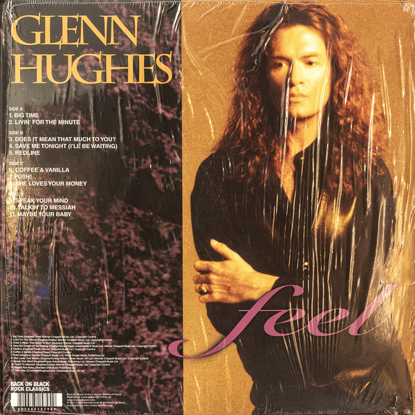 Виниловая пластинка Glenn Hughes - Feel - рис.1