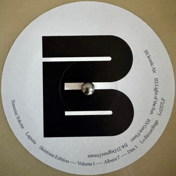 Бокс-сет Susumu Yokota – Volume 1 - Albums 1-7 (Skintone Edition, Box-set) LP - рис.50