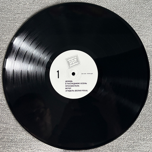 Виниловая пластинка Юрий Шевчук, ДДТ – Сборник Песен №1 - 2LP - рис.9