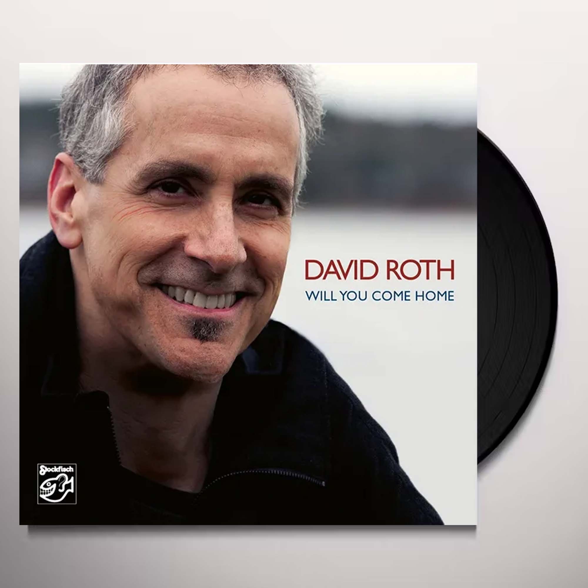 Пластинка Stockfisch Records David Roth - Will You Come Home 2LP - фото 2