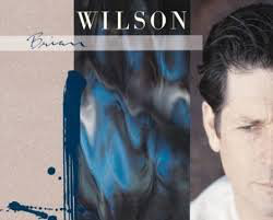 Пластинка Brian Wilson - Brian Wilson - рис.0