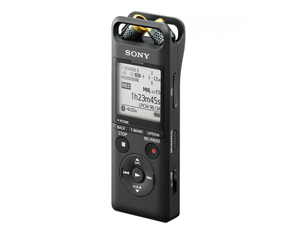 Диктофон Sony PCM-A10 16Gb - рис.1