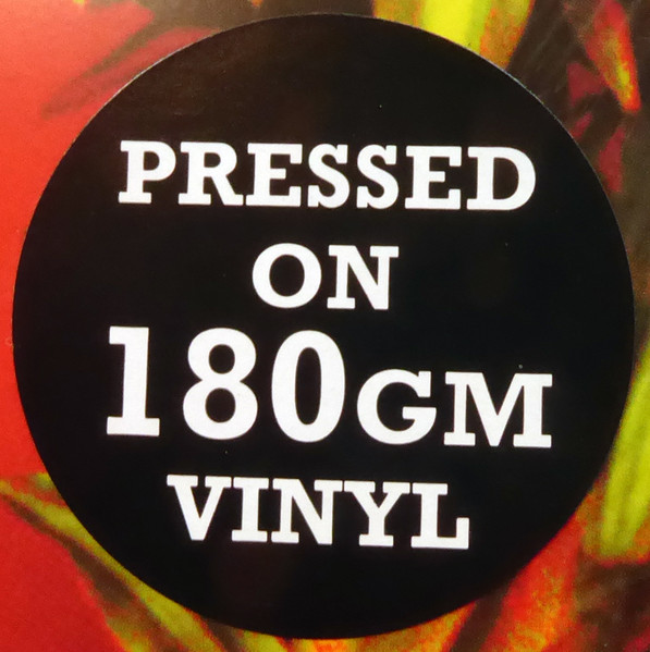 Виниловая пластинка Morcheeba - Big Calm LP - рис.7