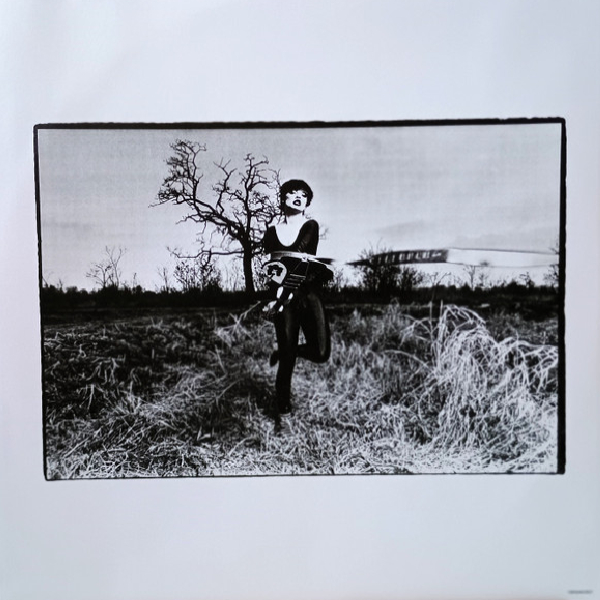 Виниловая пластинка Nina Hagen Band - Nina Hagen Band LP - рис.2