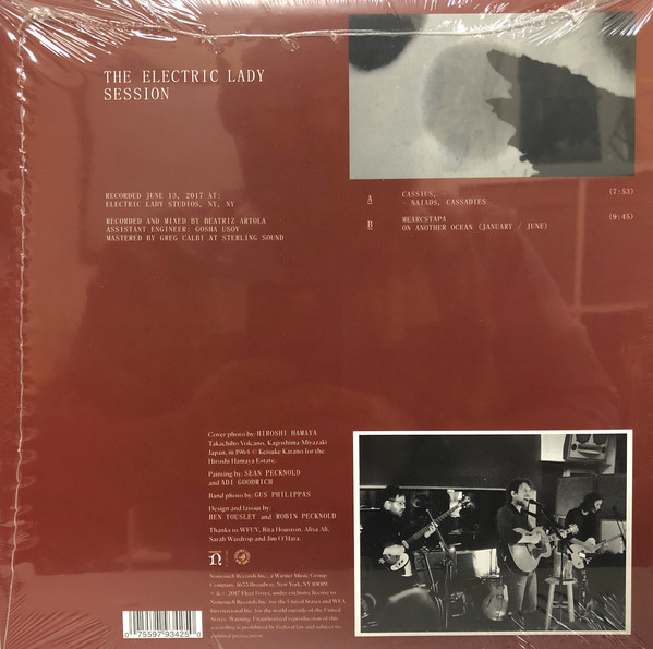 Виниловая пластинка Fleet Foxes - The Electric Lady Session - рис.1