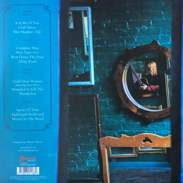 Виниловая пластинка Warren Haynes; Railroad Earth - Ashes & Dust - рис.1