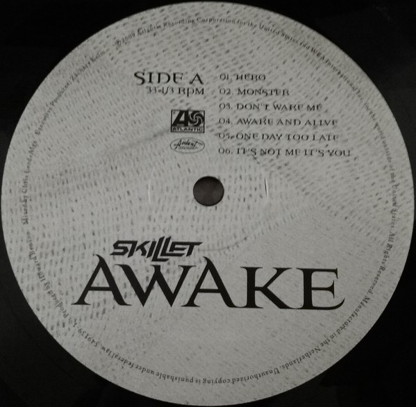 Виниловая пластинка Skillet - Awake - рис.1
