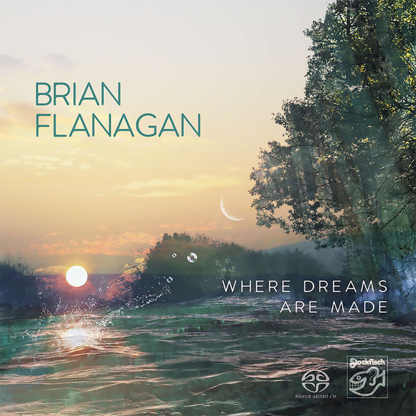 Виниловая пластинка Brian Flanagan - Where Dreams Are Made LP - рис.0