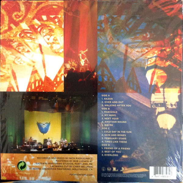 Виниловая пластинка Foo Fighters - Skin And Bones - рис.1