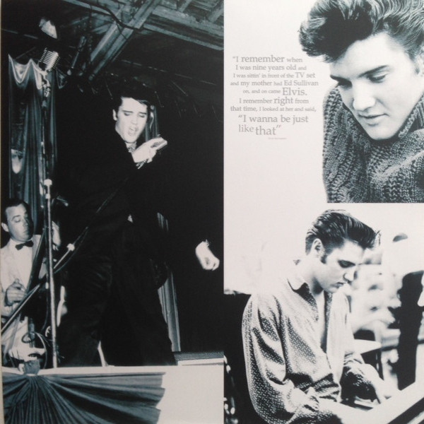 Виниловая пластинка Elvis Presley – The 50 Greatest Hits - 3LP - рис.2