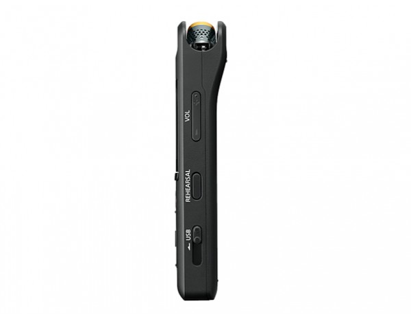Диктофон Sony PCM-A10 16Gb - рис.4