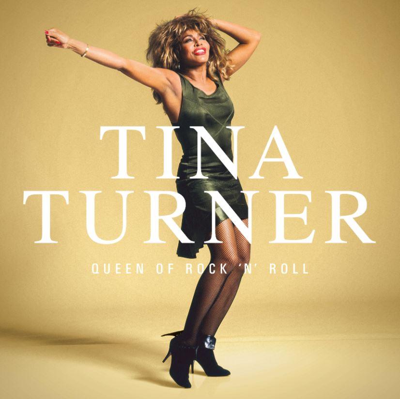 Пластинка Tina Turner