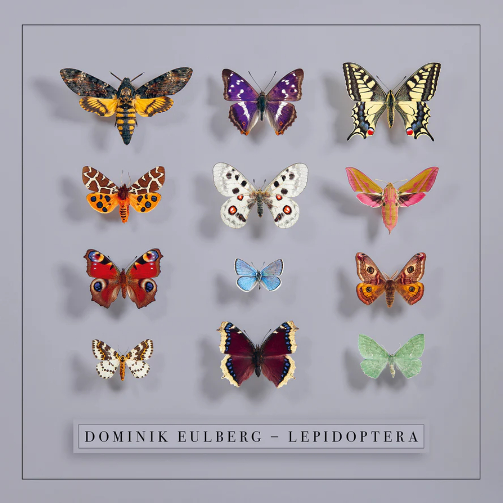 

Виниловая пластинка Dominik Eulberg, - Lepidoptera - 2LP