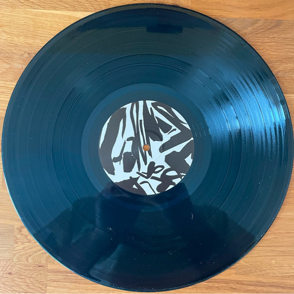 Виниловая пластинка The Armed – Perfect Saviors LP - рис.7