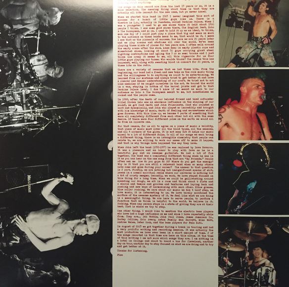 Виниловая пластинка Red Hot Chili Peppers - Greatest Hits 2LP - рис.1