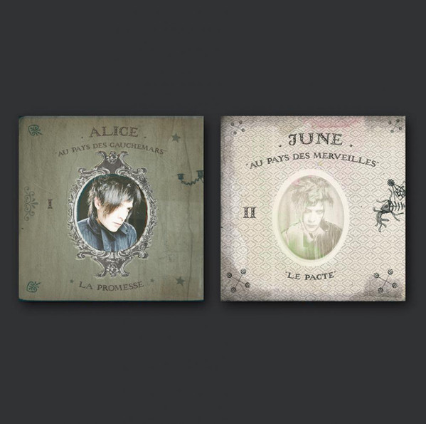 Виниловая пластинка Indochine - Alice & June - рис.3