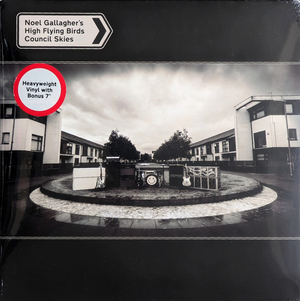 Виниловая пластинка Noel Gallagher's High Flying Birds – Council Skies - LP - рис.0