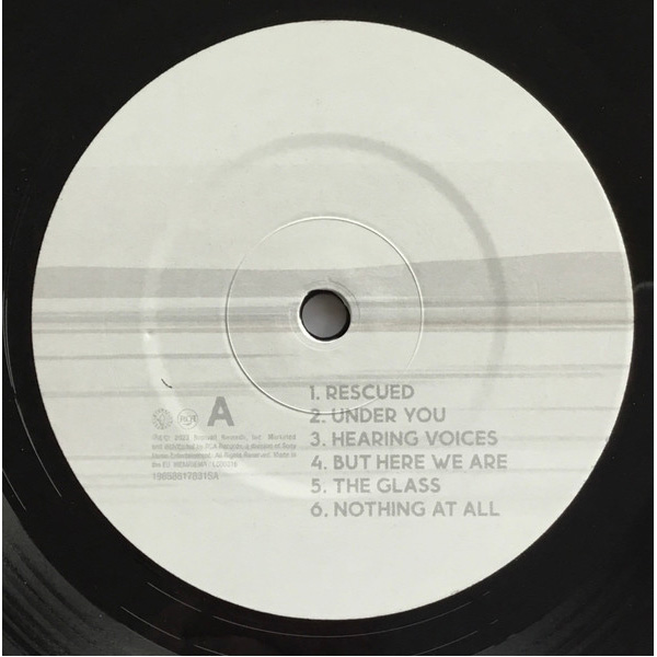 Виниловая пластинка Foo Fighters – But Here We Are LP - рис.2