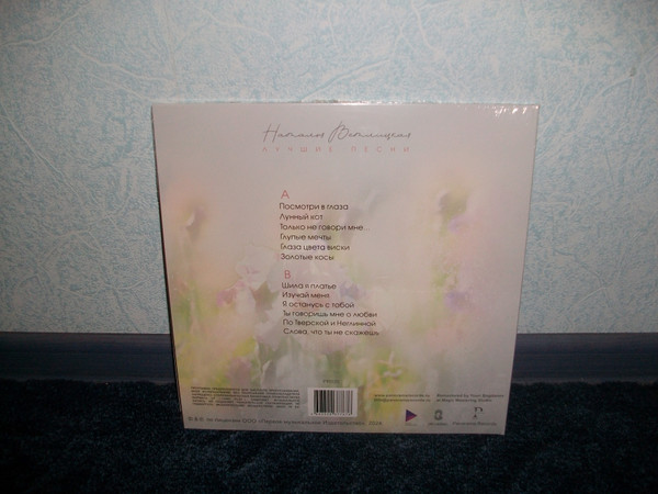 Виниловая пластинка Наталья Ветлицкая – Лучшие Песни - LP - рис.1