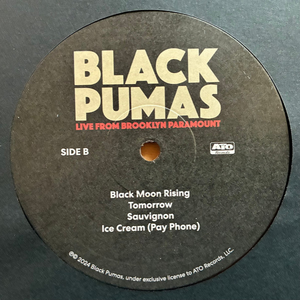 Виниловая пластинка Black Pumas - Live From Brooklyn Paramount - 2LP+CD - рис.8
