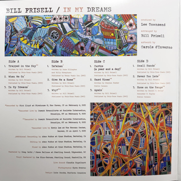 Виниловая пластинка Bill Frisell - In My Dreams - 2LP - рис.2