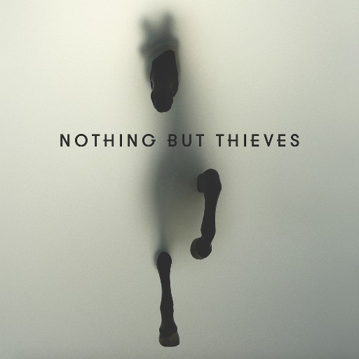 Виниловая пластинка Nothing But Thieves - Nothing But Thieves - рис.0