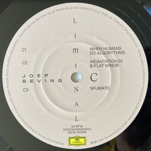Виниловая пластинка Joep Beving - Liminal - 2LP - рис.6